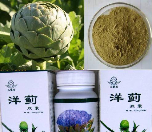Artichoke Extract Powder